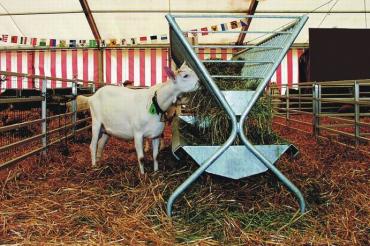 Double sided feeding hayrack withouth roof